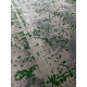 Ковер ELEGANT 2657 SILVER/GREEN 