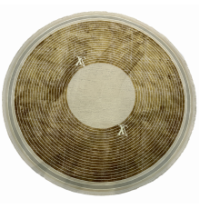 Ковер MONACO PREMIUM 1168 YELLOW CREAM GOLDEN