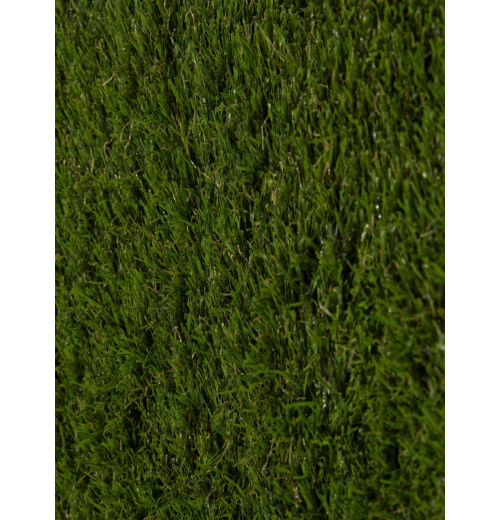 ENERGY 30MM Energy 000 Дорожка 