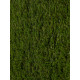 ENERGY 30MM Energy 000 Дорожка 