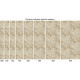 NATUREL F232 BEIGE Дорожка 